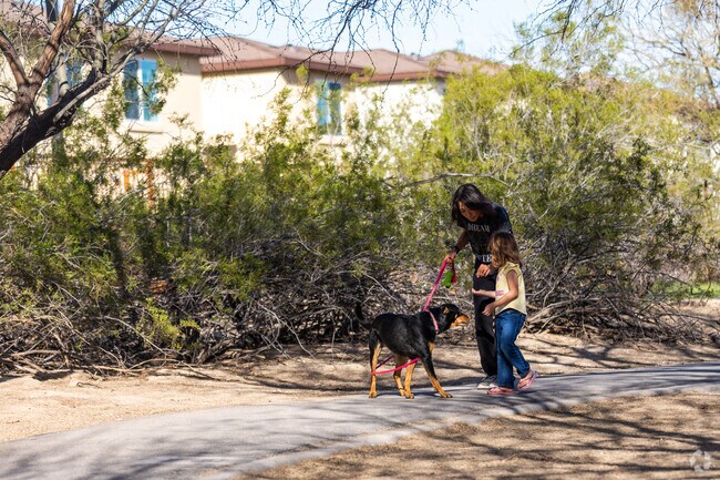 Locals love going for walks in the local parks.