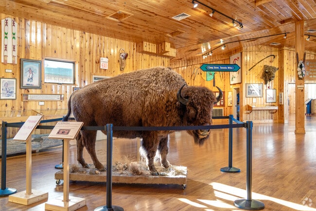 The Indian Museum of North America features a buffalo exhibit highlighting Native culture.