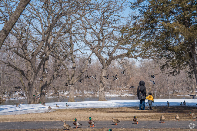 A parent and their child watching the birds at Memorial Park