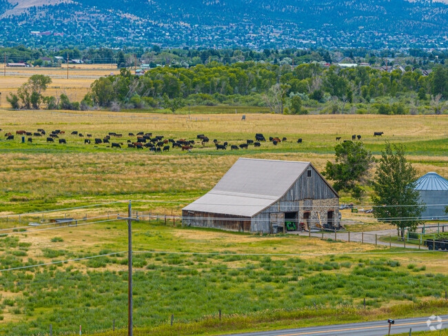 Barns and cows are common throughout West Helena Valley, Helena.