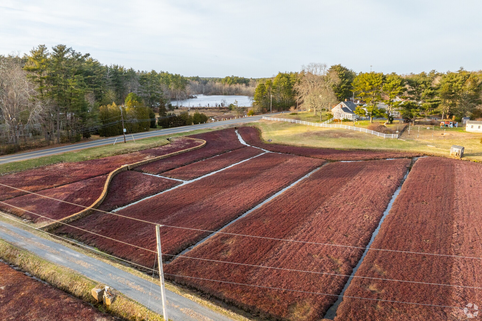 East Taunton has strong connections to local cranberry bogs that supply international brands.