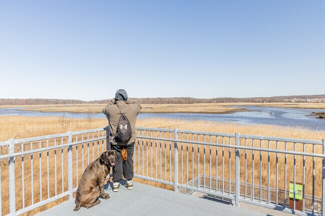 Freshkills Birdwatching Tower is a post that people visit in Travis-Chelsea visit.