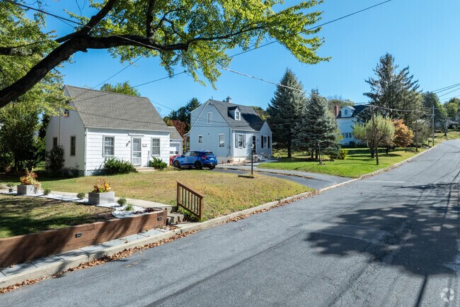 Rows of homes line Chestnut Hill’s tree-shaded streets.