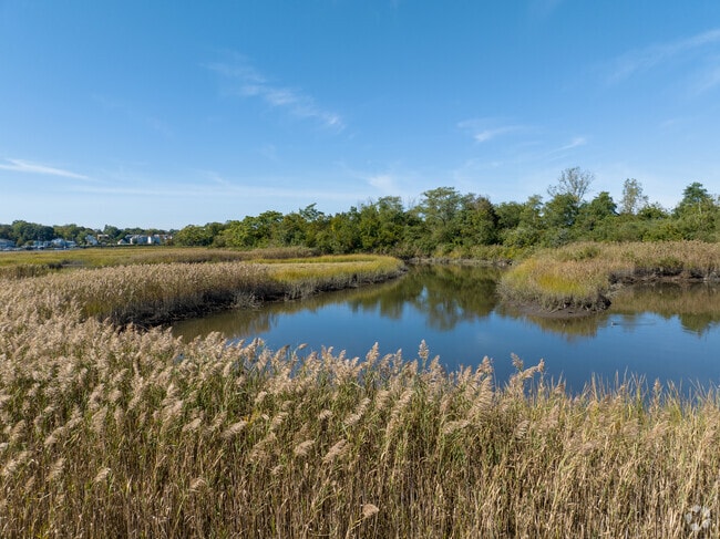 The Quinnipiac Meadows Eugene B. Fargeorge Nature Preserve offers two different trails.