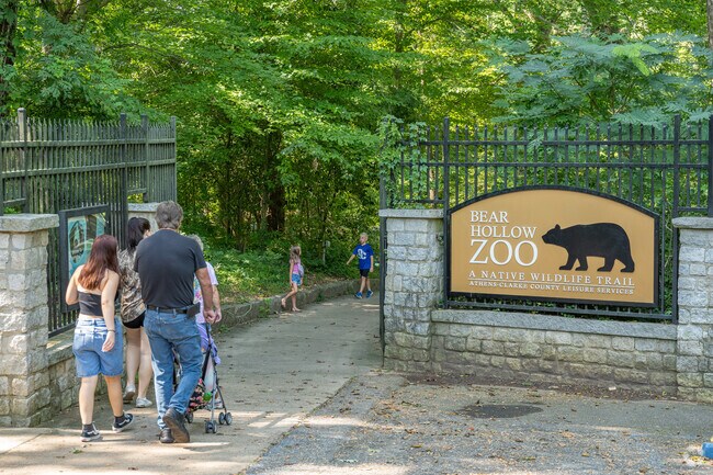 Five Points is also home to Bear Hollow zoo.