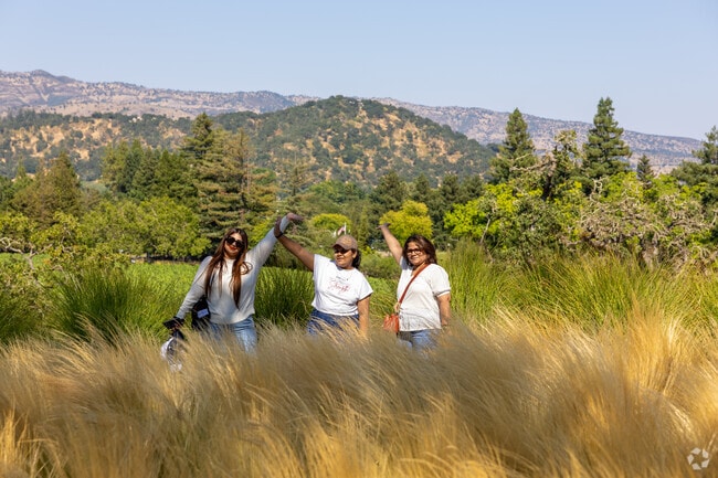 Just behind Chandon, Yountville residents can experience the wonder of the ridge line behind them.