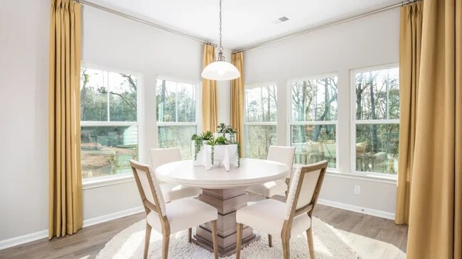 6048 Zoe Way, Myrtle Beach, SC 29588 - photo 5