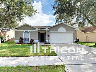 1205 Tiger Wood Ct, Valrico, FL 33596
