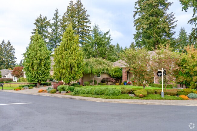 Lush trees take over the residential streets in the Indian Summer neighborhood.