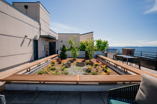Rooftop