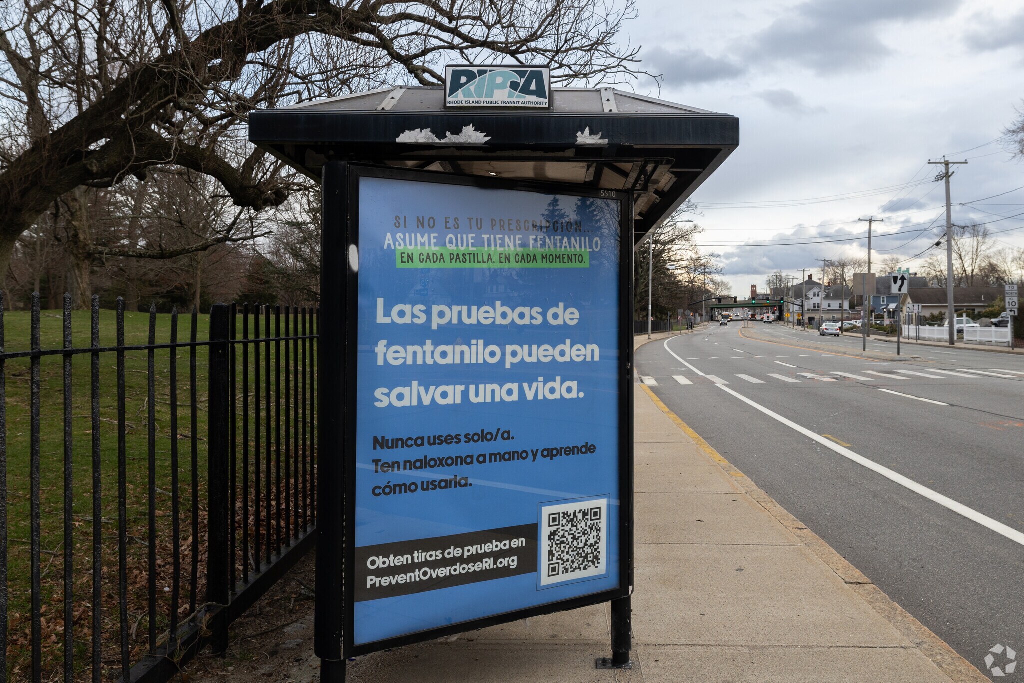 The RIPTA bus runs frequently on Elmwood Ave in Providence.