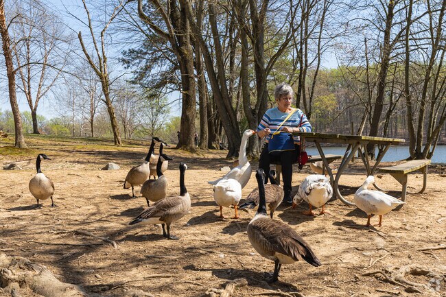 Residents love to feed the geese at Carousel Park.