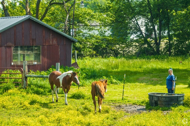 Selma residents love the rural lifestyle and the connection to nature that it brings.
