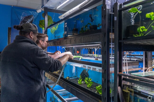 Workers at School of Fish refill a tank of water for the tropical fish.