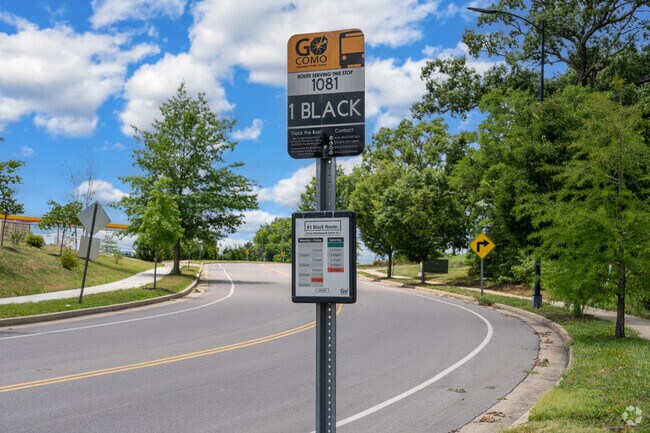 The Go CoMo bus system has multiple stops near Cedar Lake.