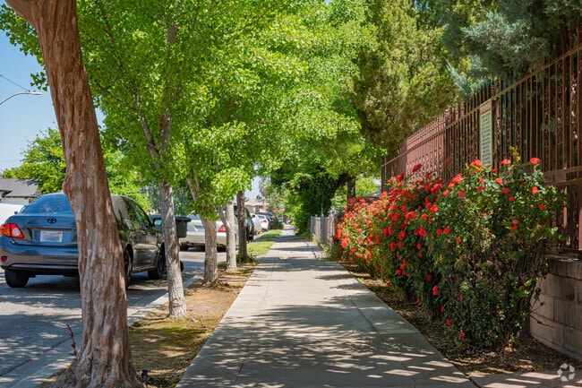 A tree-lined sidewalk is a walkers' delight in Visalia's Oval neighborhood.