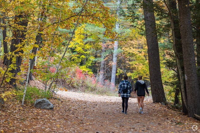 Follow a hiking trail in Mine Falls Park in Northeast Nashua, NH.