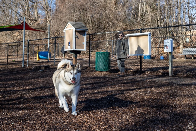 A Heather Hills resident enjoys a sunny afternoon with her dog at Bowie Dog Park.