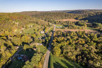 Lower Turkeyfoot