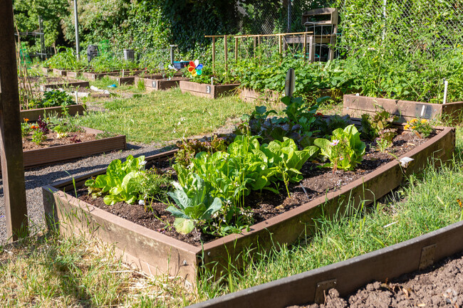Garden boxes connect kids to the foods they eat at Irvington Elementary School.