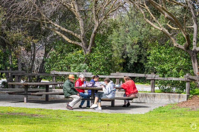 Menlo Oaks shines with picnics under the sunny skies.