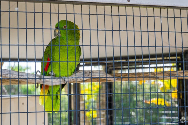 Had a great experience at the Sawgrass Nature Center near Eagle Trace, Coral Springs.