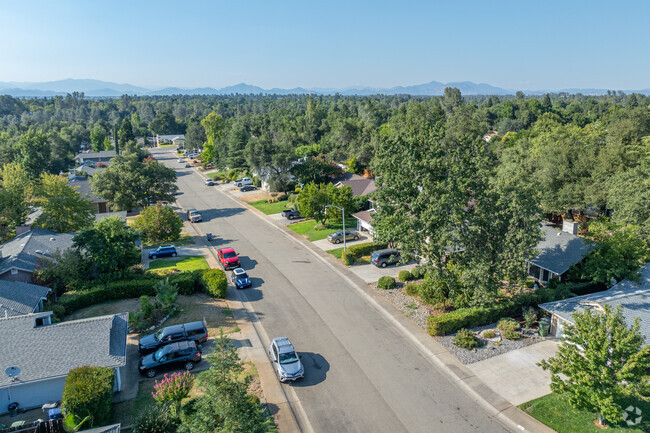 Trees line the streets of Oak Haven.