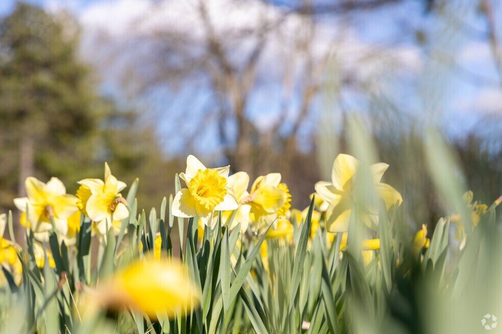 Steeple Run_533419_MD_072325_FINAL