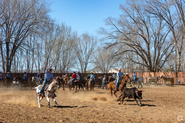 Adelino residents flock to the rodeo located nearby for a fun and exciting afternoon.