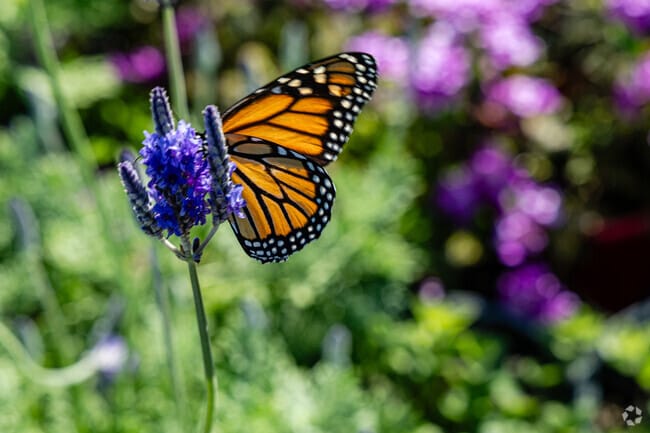 Slow down and enjoy the beauty the surrounds Bartram Springs.