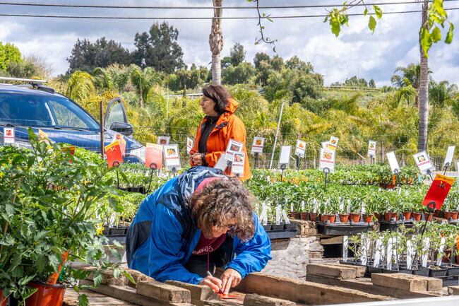 Somis locals love the access they have to different nurseries in the area.