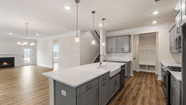 234 Paperbark Dr, Mauldin, SC 29607 - photo 4