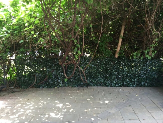 11 Meadow St, Westfield, MA 01085 - photo 3