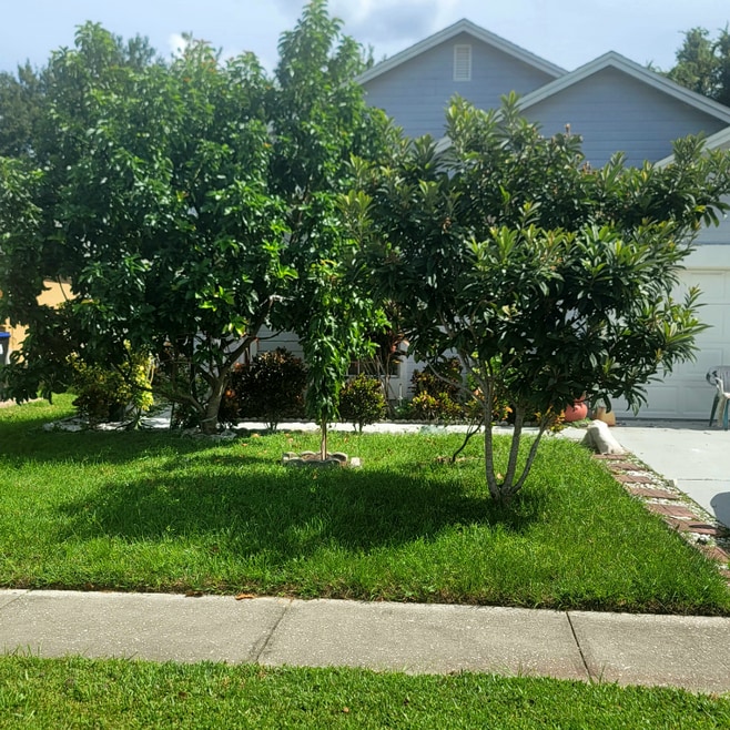 1454 Welson Rd, Orlando, FL 32837 - photo 1