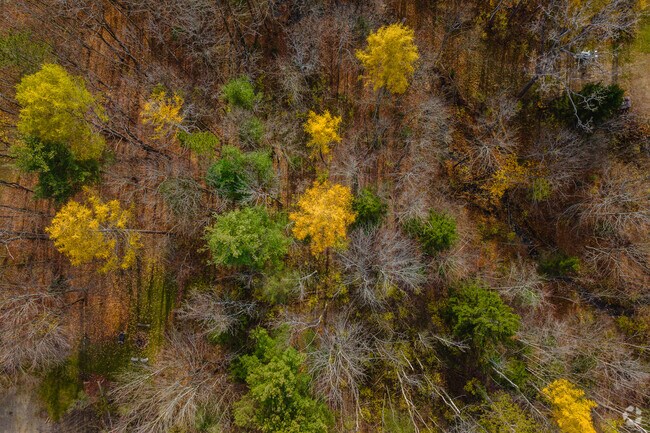 Holland's natural amenities include miles of forests and hills.