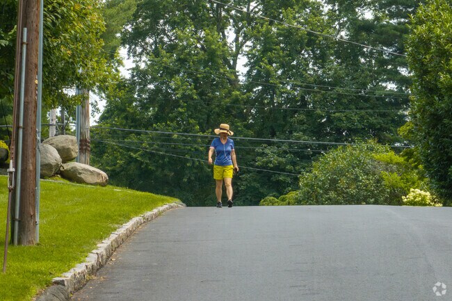 Tree-lined, quiet streets in Greenville Westchester are perfect for walking.
