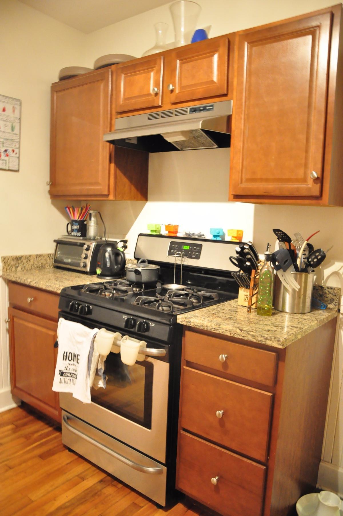 20 Saint Peter St unit 1, Jamaica Plain, MA 02130 - photo 1