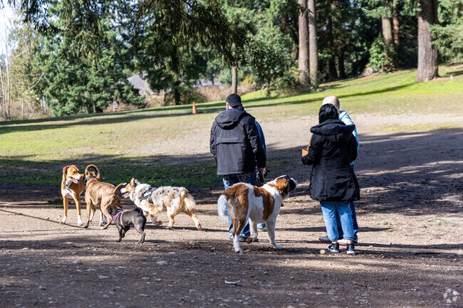 French Lake Off Leash Dog Park in Federal Way has plenty of space for your dogs to play.