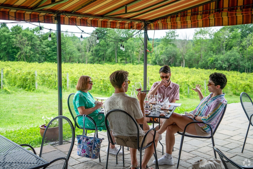 Shelburne Vineyard