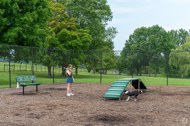 It is always great to spend time with your dog in Hethwood-Prices Fork.