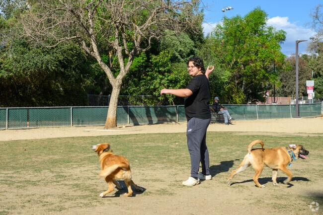 The Pooch Park at College Par in Oakmont is a popular place to bring your pups for a play date.