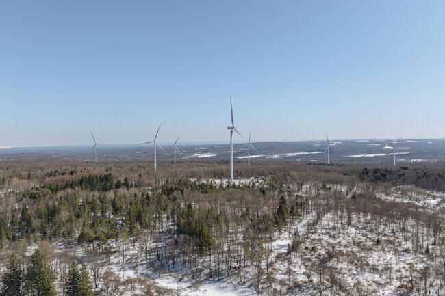 Windmill farms are a key part of Arkwright's landscape and community identity.
