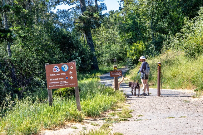 Many hikers start their journeys at the Sibley staging area off Skyline Boulevard in Montclair.