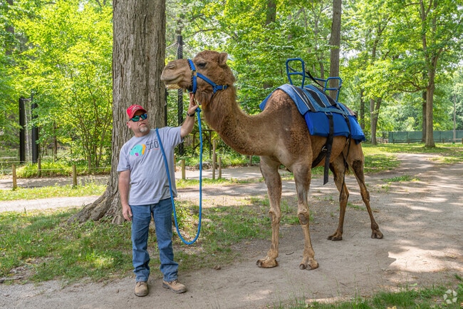 Potter Park Zoo offers the Foster neighborhood children camel rides.