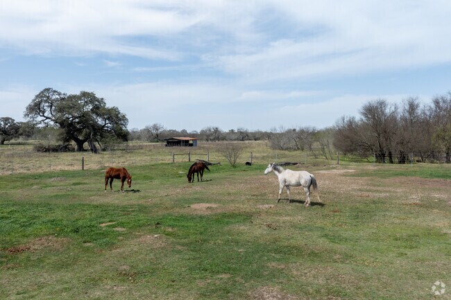 Open fields stretch across Cuero, showcasing classic Texas farmland.