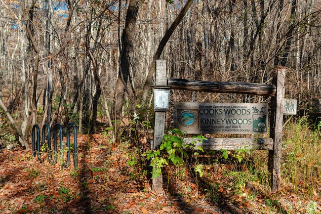 Upon arriving Cook’s Woods you are greeted with the large sign and maps indicating the trails.
