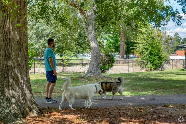 Walk scenic trails at Kamper Park, offering peaceful nature walks.