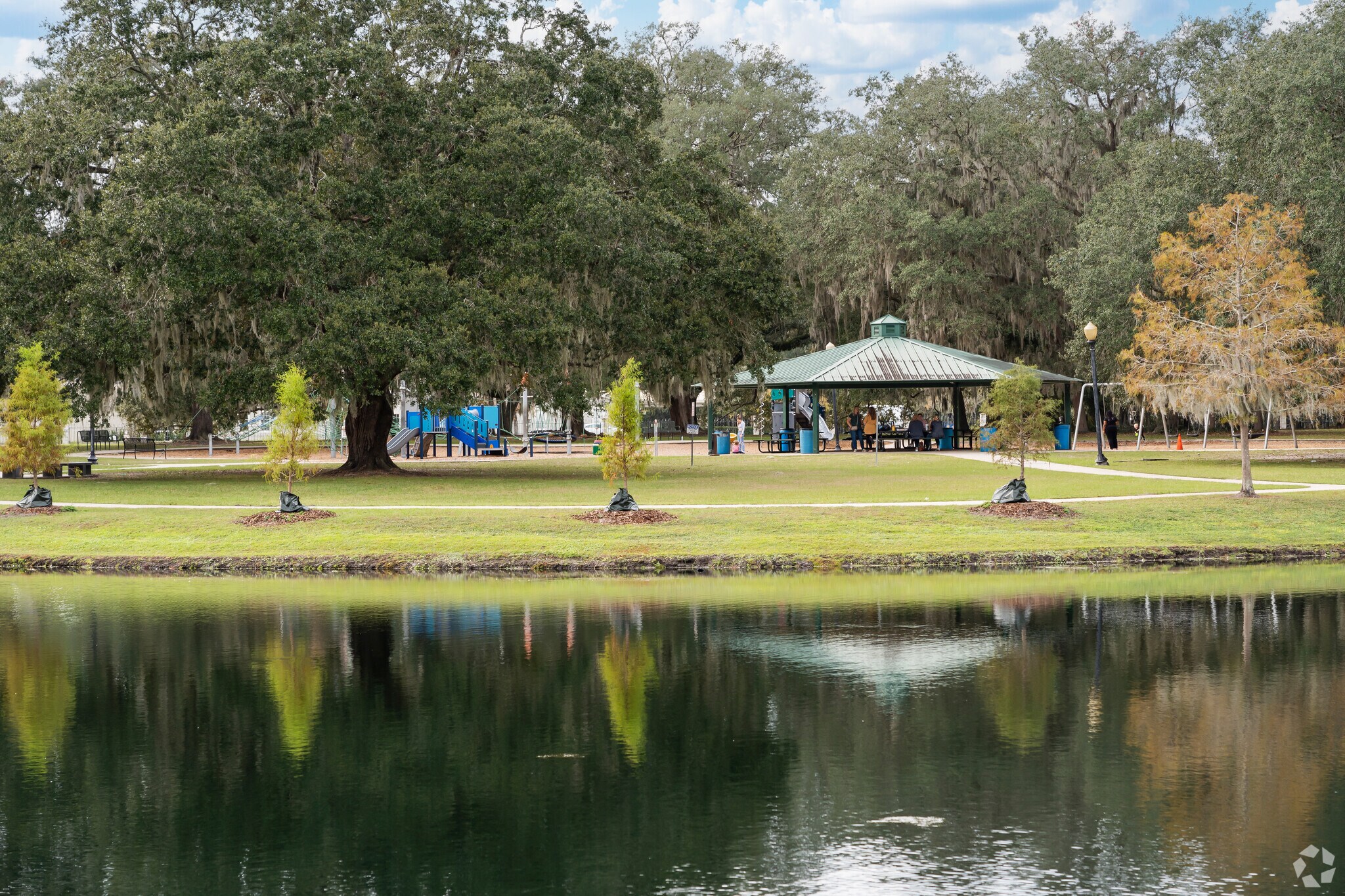 Discover the vibrant pulse of community life at Losco Regional Park.