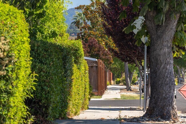 Comanche's sidewalks lined with trees and towering palms perfect for enjoying walking outside.