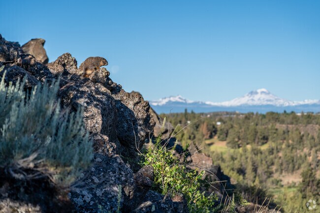 A variety of wildlife including marmot can be found at Smith Rock State Park in Terrebonne.